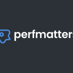 Perfmatters Pro product image